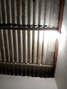 LoonyIdiot online show from April 2026 03:17:02 AM