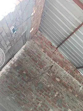 birds0641 online show from October 2025 07:49:02 AM