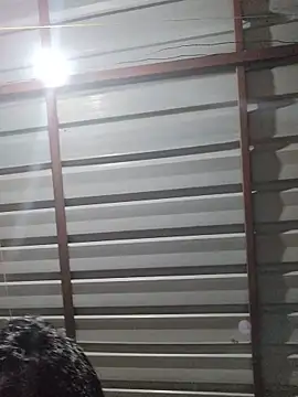 Snapshot of birds0641 chatting on May 2026 07:00:02 PM birds0641 online show from May 2026 07:00:02 PM