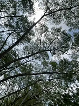 arevalo1124 online show from December 2025 03:29:02 PM