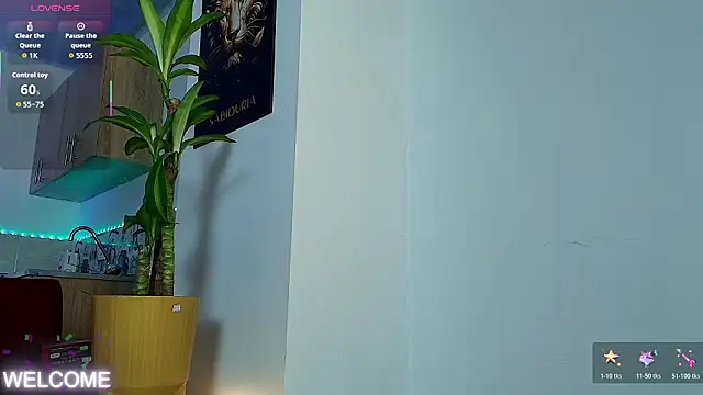 Dwayne Brown online show from February 2026 01:01:02 PM