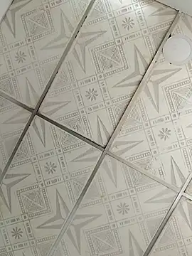 Niick01  online show from September 2025 05:03:02 PM