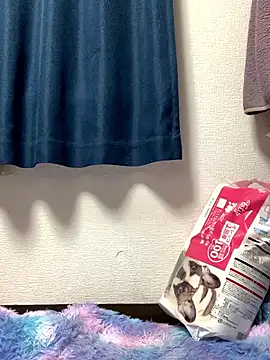 PINO pino 01 online show from November 2025 05:45:02 PM