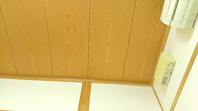 Snapshot of RIO_o0 chatting on December 2025 03:36:01 AM RIO o0 online show from December 2025 03:36:01 AM