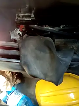 Snapshot of dominationmybigdick chatting on October 2025 10:56:02 AM dominationmybigdick online show from October 2025 10:56:02 AM