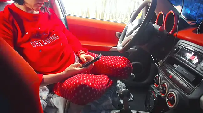 Fairy outdoor online show from March 2025 11:18:01 AM