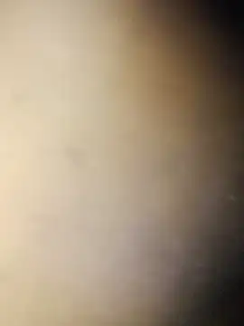 Crowlers online show from March 2025 12:01:02 AM