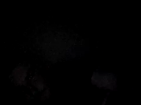 Foxtrott 242 online show from September 2025 11:48:01 PM