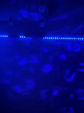 BBSTRING online show from November 2025 06:59:02 PM