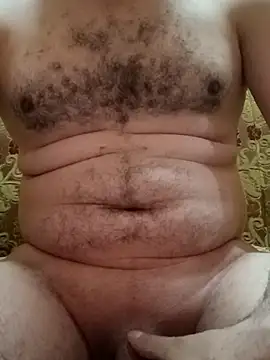 Arabian online show from November 2025 03:12:01 PM