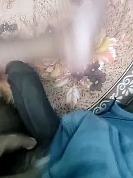 Snapshot of Yashkumar_0697 chatting on October 2025 07:03:01 PM Yashkumar 0697 online show from October 2025 07:03:01 PM