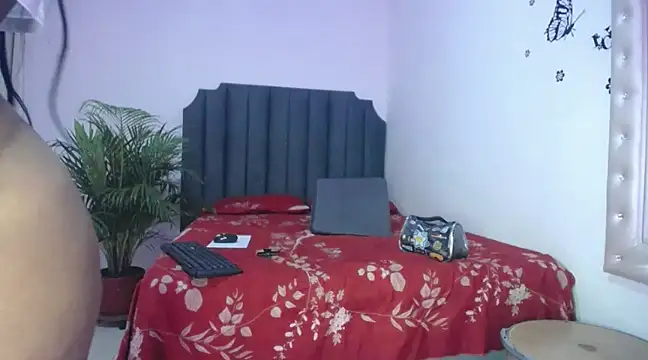 moree Queen online show from March 2025 07:06:02 PM