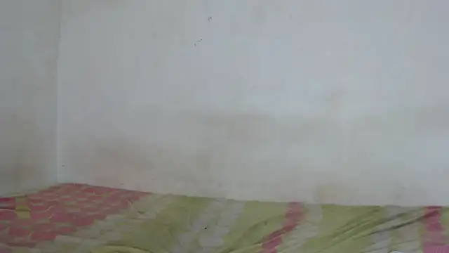 Snapshot of Majo_BigTits chatting on November 2025 08:13:02 PM Majo BigTits online show from November 2025 08:13:02 PM