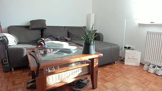 molicaremolicare online show from November 2025 11:12:02 AM