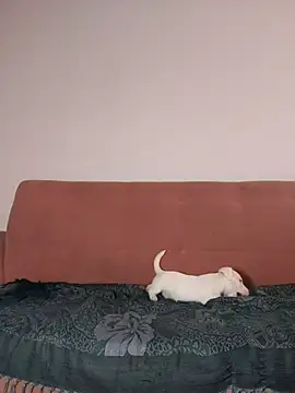 Jehan Soto online show from September 2025 05:12:02 PM