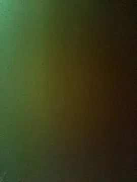 PPP-30 online show from February 2025 01:40:02 PM