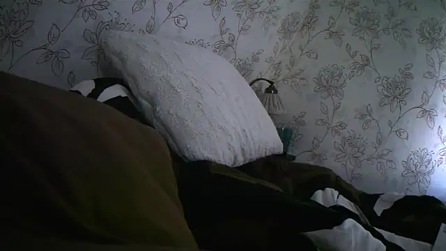 Snapshot of Teemu chatting on September 2025 02:33:02 PM Teemu online show from September 2025 02:33:02 PM