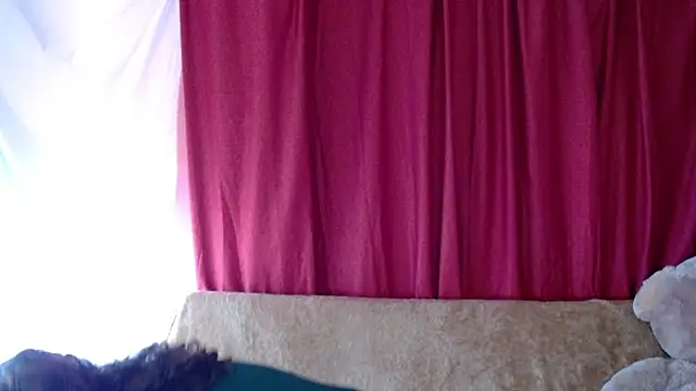 morahaze online show from November 2025 05:11:01 PM