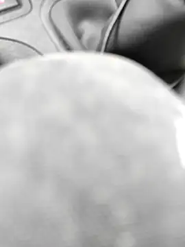 Snapshot of stfbi chatting on February 2025 01:31:02 PM stfbi online show from February 2025 01:31:02 PM