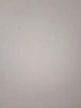 Snapshot of EmmaSulivan chatting on March 2026 11:03:01 AM EmmaSulivan online show from March 2026 11:03:01 AM