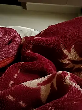 RealcoupleP online show from November 2025 12:05:01 PM