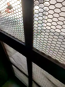 indian couple4 online show from February 2026 08:40:02 AM