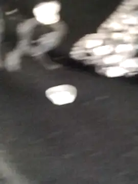 Dolcecurvy online show from April 2026 01:42:02 PM