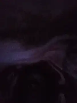 lilpip online show from July 2026 10:50:02 PM