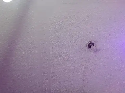 Pandora 9666 online show from October 2025 03:25:01 AM