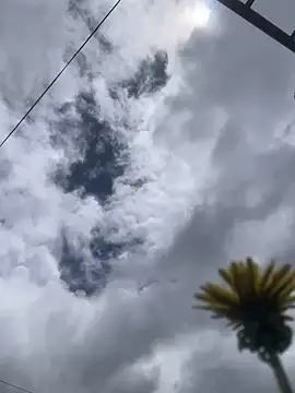 Snapshot of MaxxxSteil chatting on November 2025 03:56:02 PM MaxxxSteil online show from November 2025 03:56:02 PM