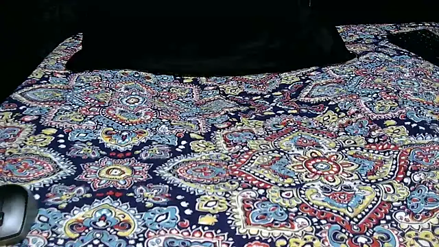 Novata online show from November 2025 02:28:02 AM