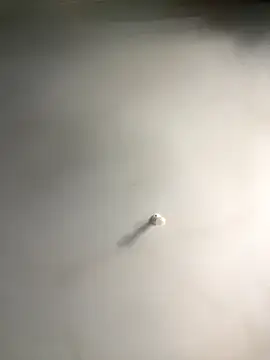 1Zoey101 online show from December 2025 06:19:01 AM