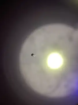 Snapshot of 1Zoey101 chatting on March 2026 09:16:02 PM 1Zoey101 online show from March 2026 09:16:02 PM