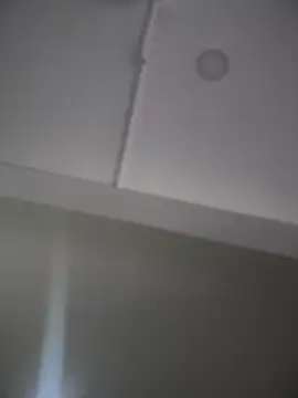 Snapshot of Mila_LS chatting on November 2025 12:50:02 PM Mila LS online show from November 2025 12:50:02 PM