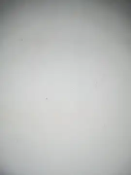 Snapshot of LISA_089 chatting on October 2025 12:16:02 PM LISA 089 online show from October 2025 12:16:02 PM