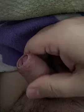 Snapshot of littletoy64 chatting on February 2026 08:07:01 AM littletoy64 online show from February 2026 08:07:01 AM