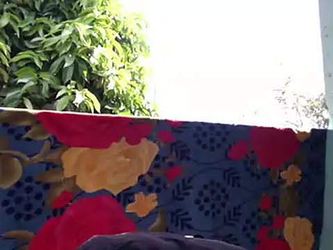 Ladyzee25 online show from February 2026 03:04:02 PM