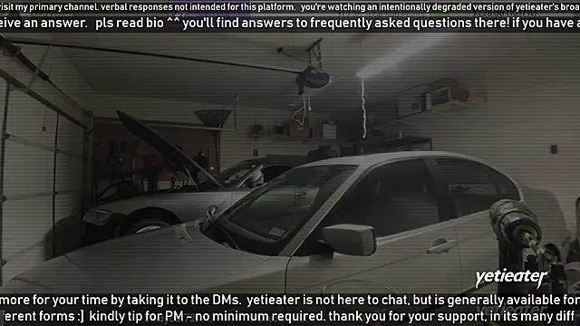 yetieater online show from January 2025 10:19:01 PM