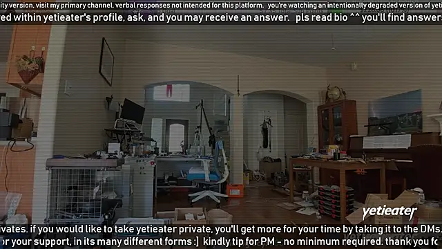 yetieater online show from March 2025 08:11:01 PM