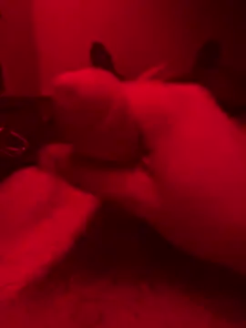 Snapshot of ruchacz24 chatting on October 2025 01:50:02 AM ruchacz24 online show from October 2025 01:50:02 AM