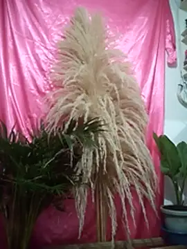 Snapshot of John_los666_hot chatting on April 2026 07:45:01 AM John los666 hot online show from April 2026 07:45:01 AM