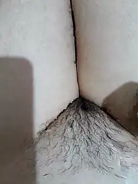 yakot7 online show from April 2026 10:45:01 PM