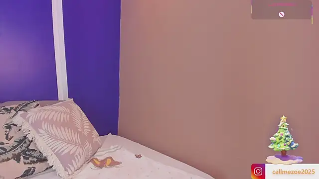 Snapshot of Zoe-S chatting on December 2025 08:17:01 PM Zoe-S online show from December 2025 08:17:01 PM