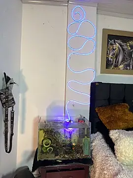 CRAZY-BOY99 online show from December 2025 11:04:02 AM