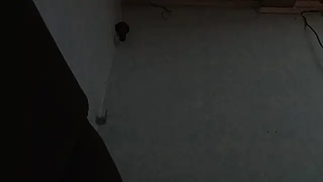 Snapshot of PrimordialChill6 chatting on April 2026 03:59:02 AM PrimordialChill6 online show from April 2026 03:59:02 AM