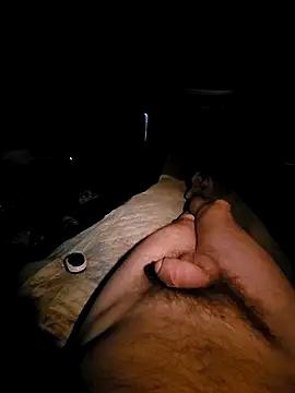 Snapshot of aleksis1313 chatting on March 2025 05:50:01 PM aleksis1313 online show from March 2025 05:50:01 PM