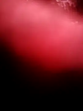 Snapshot of punam259 chatting on December 2025 02:32:02 AM punam259 online show from December 2025 02:32:02 AM