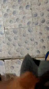 horniestboi online show from March 2025 05:07:02 AM