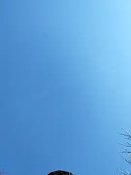 Snapshot of Anthopassif84 chatting on March 2025 03:18:02 PM Anthopassif84 online show from March 2025 03:18:02 PM