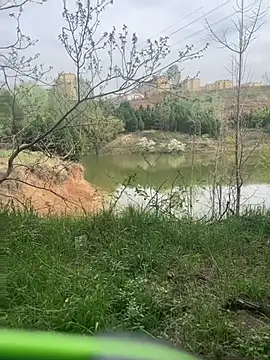 Snapshot of shaovu chatting on April 2026 06:25:02 AM shaovu online show from April 2026 06:25:02 AM